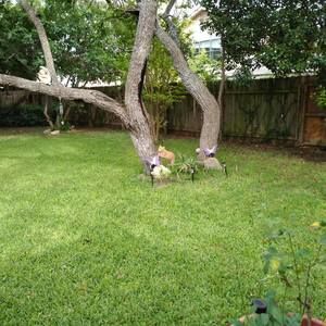 Meet your Posher, Trudy